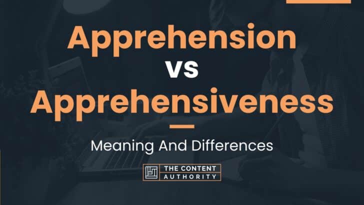 Apprehension vs Apprehensiveness: Meaning And Differences