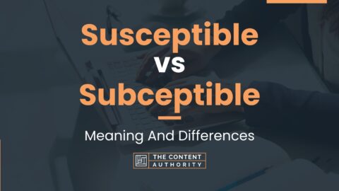 Susceptible vs Subceptible: Meaning And Differences