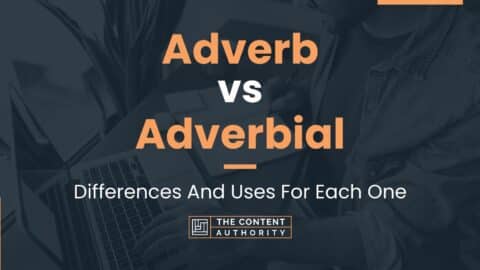 Adverb vs Adverbial: Differences And Uses For Each One