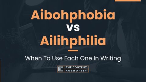 Aibohphobia vs Ailihphilia: When To Use Each One In Writing