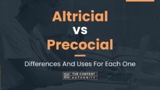 Altricial vs Precocial: Differences And Uses For Each One