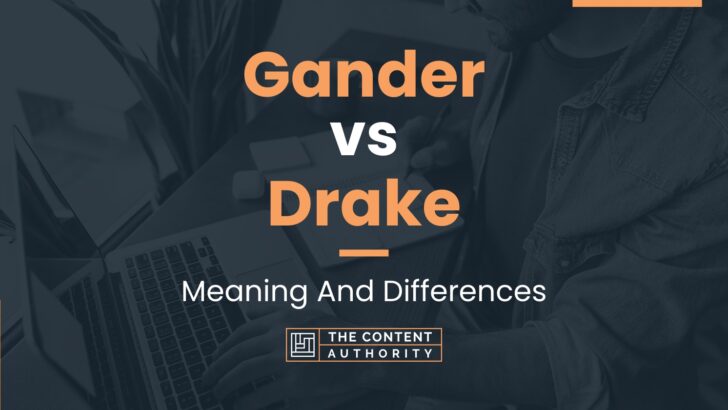 Gander vs Drake: Meaning And Differences