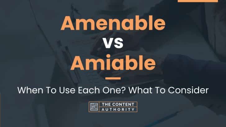 Amenable vs Amiable: When To Use Each One? What To Consider