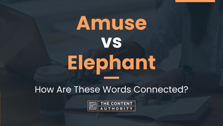 Amuse vs Elephant: How Are These Words Connected?