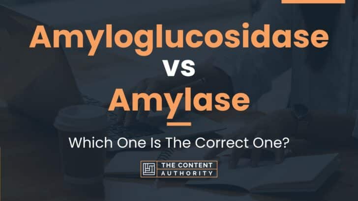 Amyloglucosidase vs Amylase: Which One Is The Correct One?