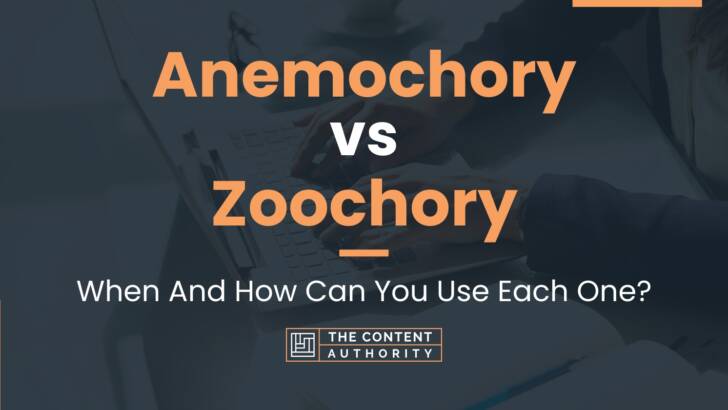 Anemochory vs Zoochory: When And How Can You Use Each One?