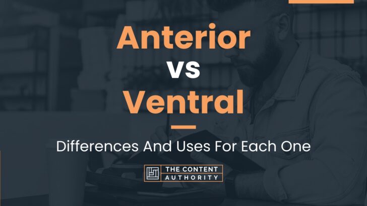 Anterior vs Ventral: Differences And Uses For Each One