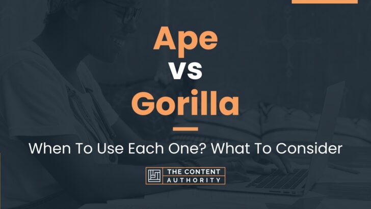 Ape vs Gorilla: When To Use Each One? What To Consider