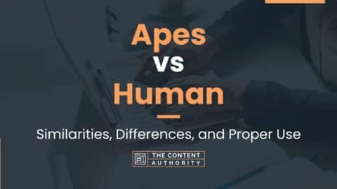 Apes vs Human: Similarities, Differences, and Proper Use