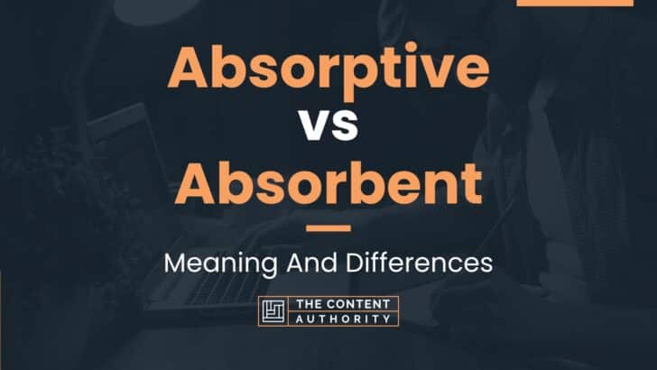 absorptive-vs-absorbent-meaning-and-differences