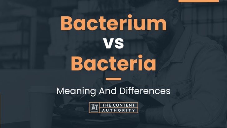 Bacterium vs Bacteria: Meaning And Differences