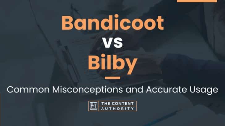 Bandicoot vs Bilby: Common Misconceptions and Accurate Usage