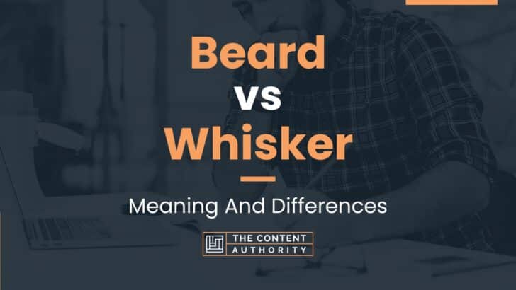 Beard vs Whisker: Meaning And Differences