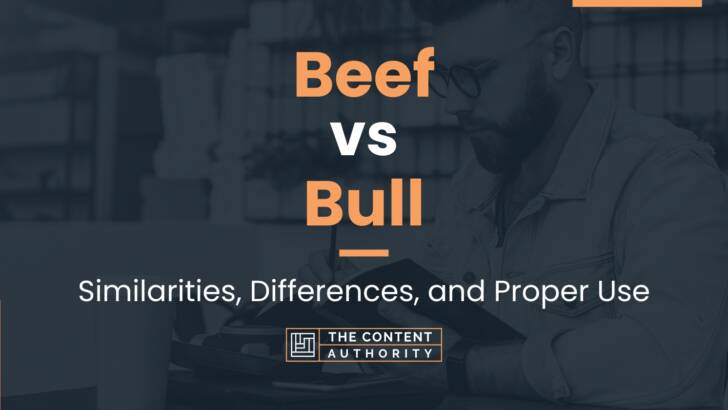 Beef vs Bull: Similarities, Differences, and Proper Use