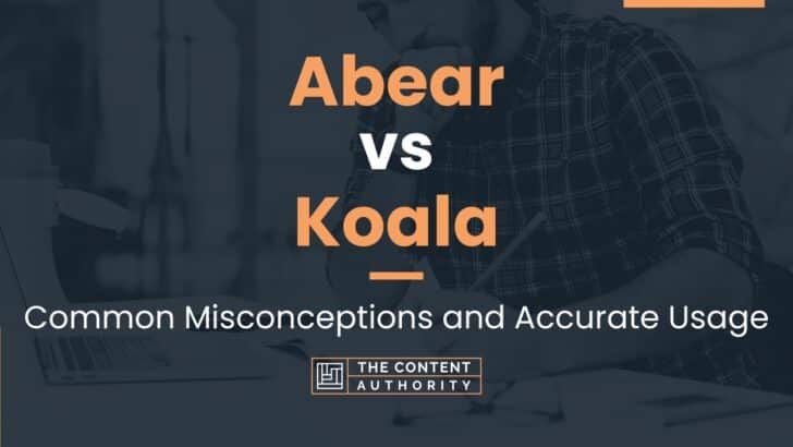 Abear vs Koala: Common Misconceptions and Accurate Usage