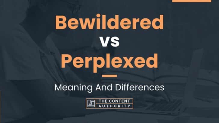 Bewildered vs Perplexed: Meaning And Differences
