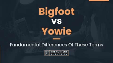 Bigfoot vs Yowie: Fundamental Differences Of These Terms