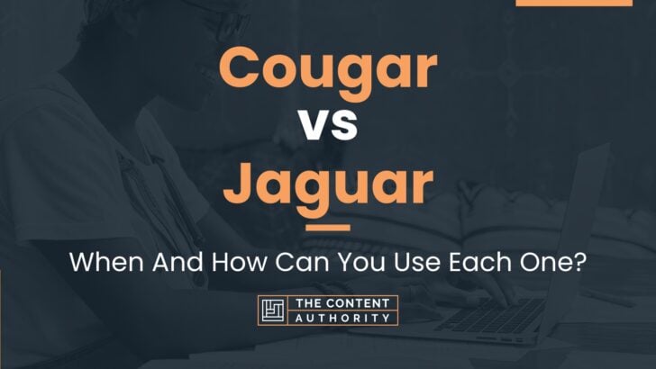 Cougar vs Jaguar: When And How Can You Use Each One?