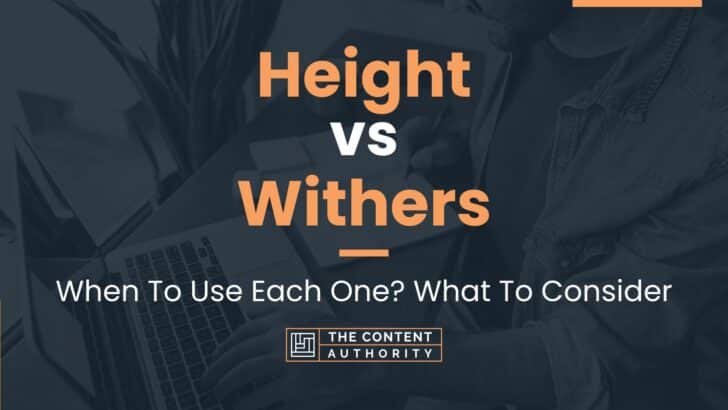 Height vs Withers: When To Use Each One? What To Consider