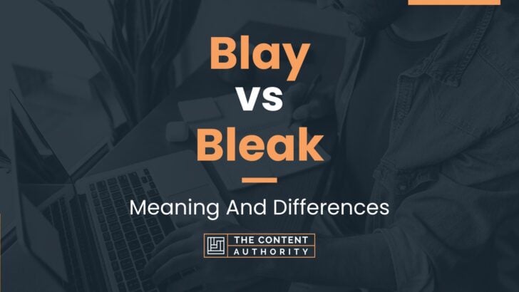 Blay vs Bleak: Meaning And Differences