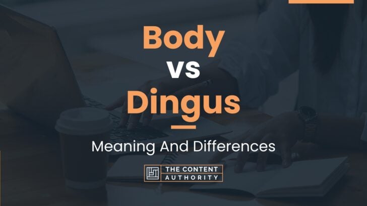 body-vs-dingus-meaning-and-differences