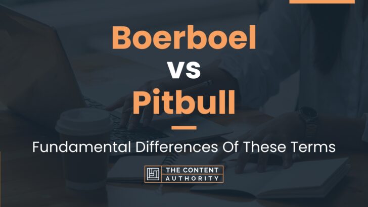 Boerboel vs Pitbull: Fundamental Differences Of These Terms