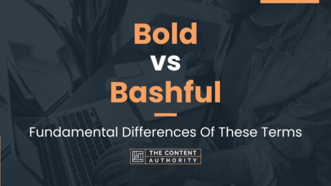 Bold vs Bashful: Fundamental Differences Of These Terms