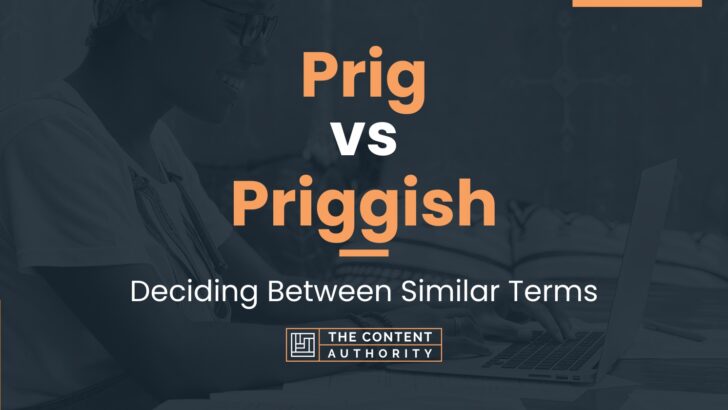Prig vs Priggish: Deciding Between Similar Terms