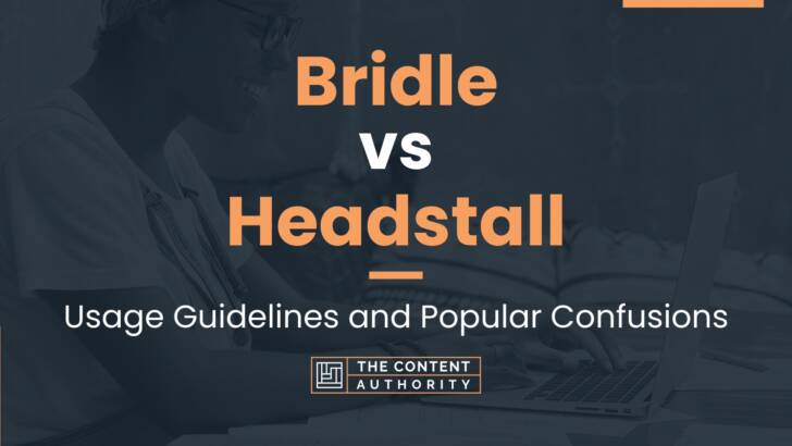 Bridle vs Headstall: Usage Guidelines and Popular Confusions