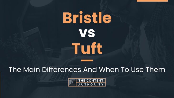 Bristle vs Tuft: The Main Differences And When To Use Them