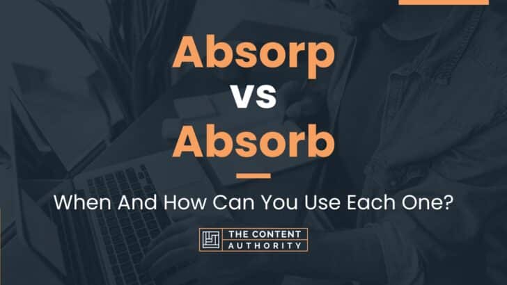 Absorp vs Absorb: When And How Can You Use Each One?