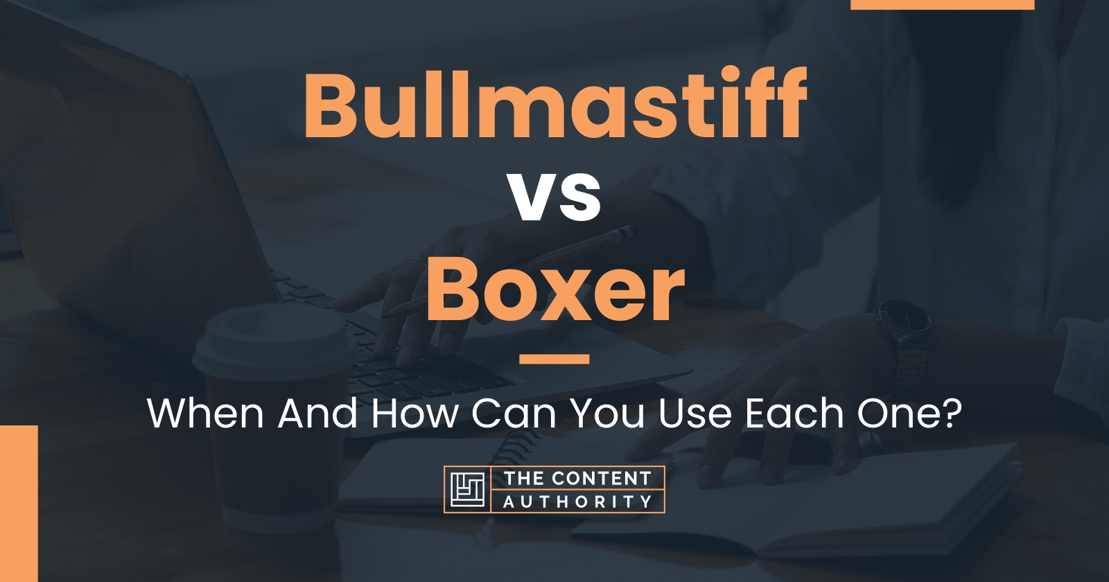 Bullmastiff vs Boxer: When And How Can You Use Each One?