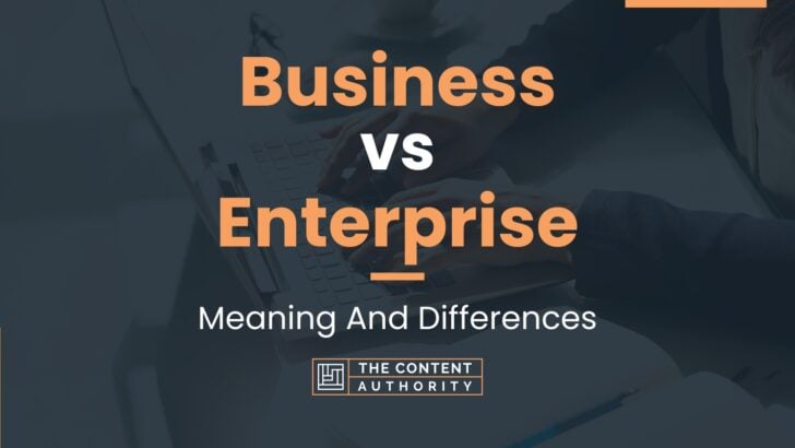 Business vs Enterprise: Meaning And Differences