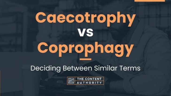 Caecotrophy vs Coprophagy: Deciding Between Similar Terms