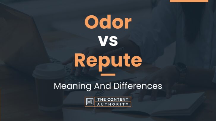 odor-vs-repute-meaning-and-differences