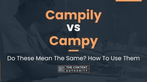 crypto vs campy