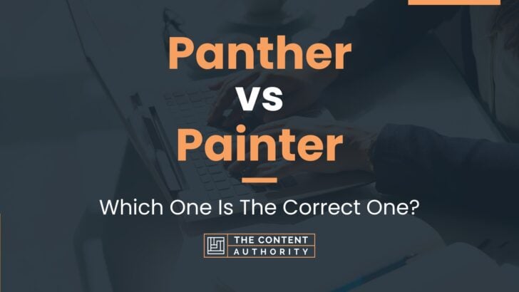 Panther vs Painter: Which One Is The Correct One?