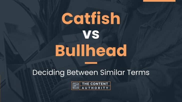 Catfish Vs Bullhead Deciding Between Similar Terms   Catfish Vs Bullhead 728x410 