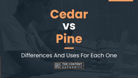 Cedar vs Pine: Differences And Uses For Each One