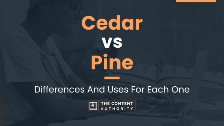 Cedar vs Pine: Differences And Uses For Each One