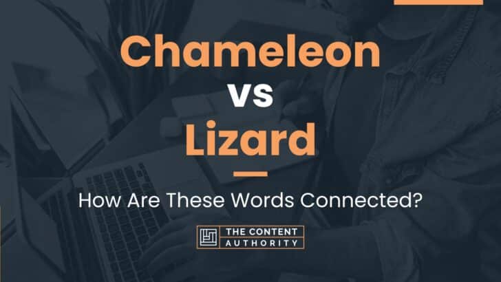 Chameleon vs Lizard: How Are These Words Connected?