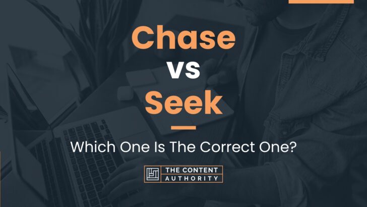 Chase Vs Seek: Which One Is The Correct One?