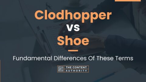 Clodhopper vs Shoe: Fundamental Differences Of These Terms