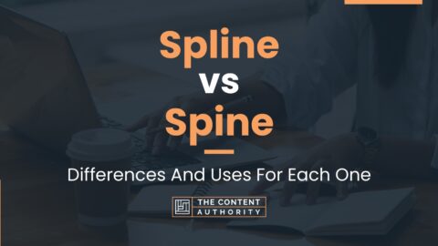 12 point vs spline