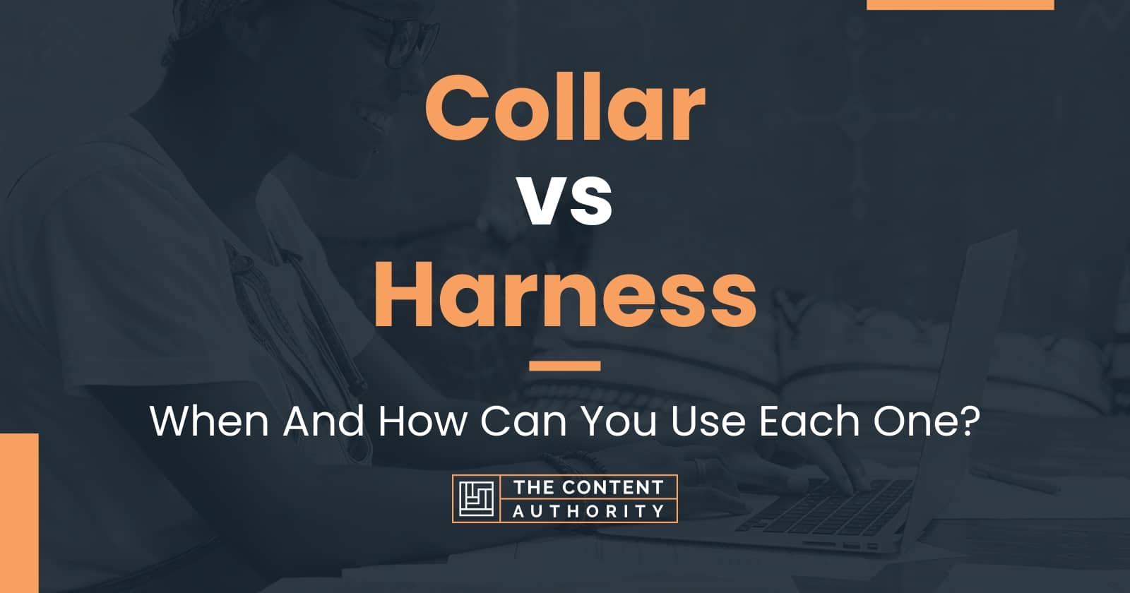 Collar vs Harness: When And How Can You Use Each One?