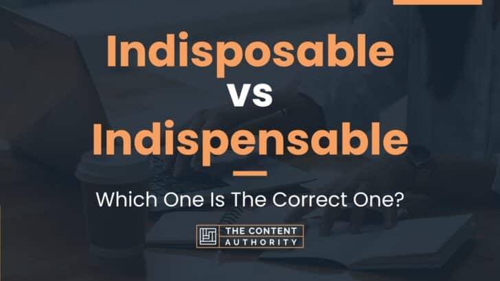 Indisposable vs Indispensable: Which One Is The Correct One?