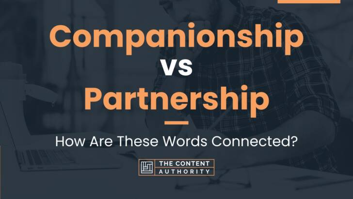 Companionship vs Partnership: How Are These Words Connected?