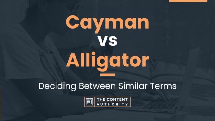 Cayman Vs Alligator Deciding Between Similar Terms   Conflate Vs Confound 728x410 