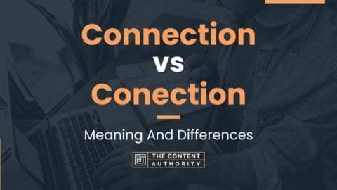 Connection vs Conection: Meaning And Differences