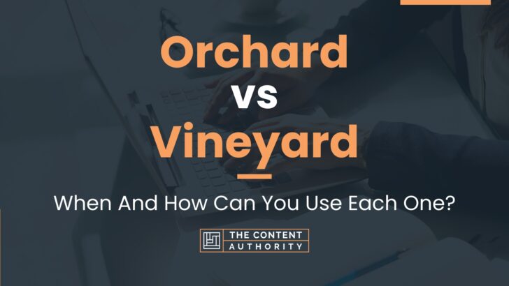 Orchard vs Vineyard: When And How Can You Use Each One?